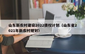 山东新农村建设2022债权计划（山东省2021年新农村规划）