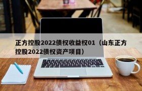 正方控股2022债权收益权01（山东正方控股2022债权资产项目）