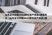 山东正方控股2022债权资产项目1期是多少（山东正方控股2022债权资产项目1期）