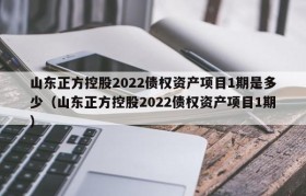 山东正方控股2022债权资产项目1期是多少（山东正方控股2022债权资产项目1期）