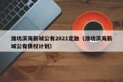 潍坊滨海新城公有2021定融（潍坊滨海新城公有债权计划）