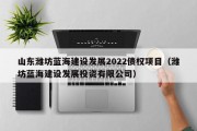 山东潍坊蓝海建设发展2022债权项目（潍坊蓝海建设发展投资有限公司）