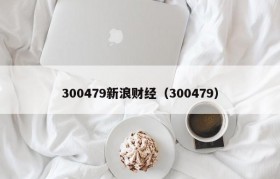300479新浪财经（300479）