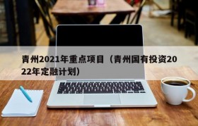 青州2021年重点项目（青州国有投资2022年定融计划）