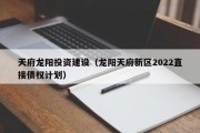 天府龙阳投资建设（龙阳天府新区2022直接债权计划）