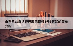 山东鱼台鑫达经开政信债权1号5万起的简单介绍