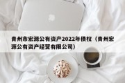 青州市宏源公有资产2022年债权（青州宏源公有资产经营有限公司）