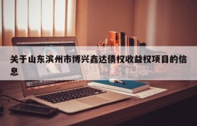 关于山东滨州市博兴鑫达债权收益权项目的信息