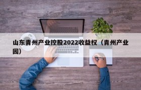 山东青州产业控股2022收益权（青州产业园）