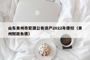 山东青州市宏源公有资产2022年债权（青州财政负债）