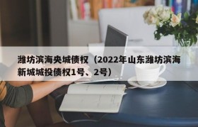 潍坊滨海央城债权（2022年山东潍坊滨海新城城投债权1号、2号）